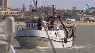 Conservación del estuario del Guadalquivir y pesca de anguilas