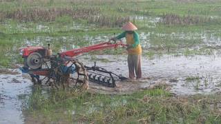 Traktor Sawah di sore hari di desa Kunir kecamatan Butuh kabupaten Purworejo