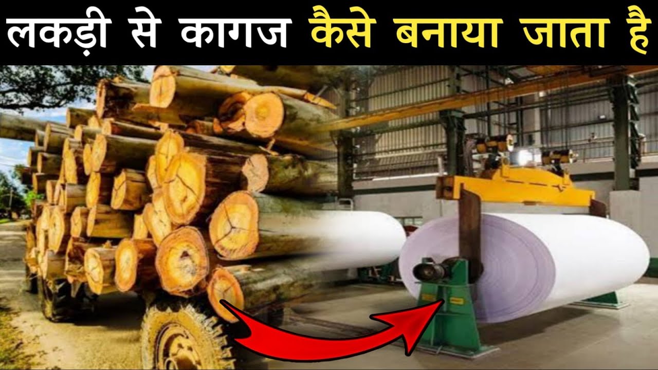 देखिए कैसे बनता है Factory में कागज how to make paper in factory in