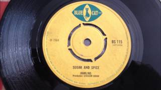 Celebrity Hamlins - Sugar & Spice Wealth