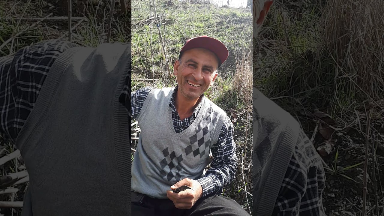 SUMAK AĞACI AŞILAMA TEKNİĞİ