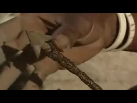 Desert Rose Poisonous Arrows - Ray Mears World of Survival - BBC