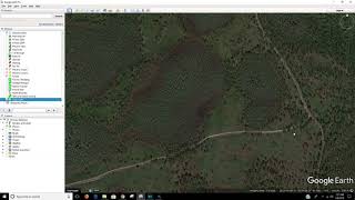 Green Swamp WMA  First time scouting