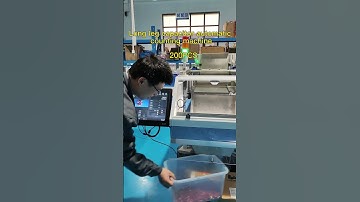 The one long leg capacitor counting machine for VB224-2