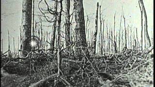 US soldiers under gas attack in France during World War I HD Stock Footage