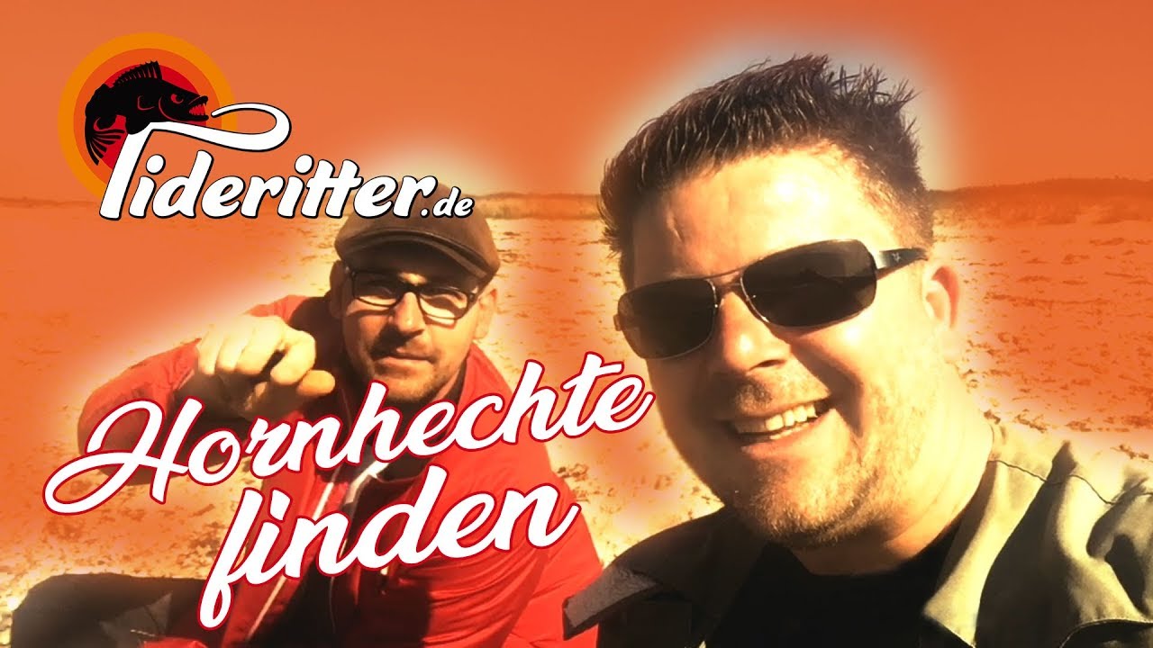 Hornhechtangeln (Teil 1) am Weißenhäuser Strand - tideritter de