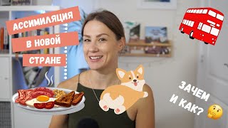 видео: Зачем ассимилироваться в иммиграции (и нужно ли?) картинка: Зачем ассимилироваться в иммиграции (и нужно ли?)