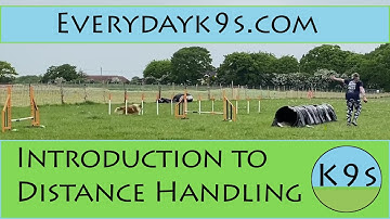 Distance Handling 101 - Foundation Skills: Episode 1 - Introduction to Distance Handling