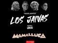 Entrevista a Los Jaivas, más reacción y análisis conjunto de Mamalluca