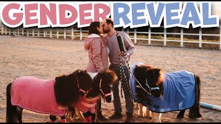 Babyparty mit Ponys! Junge oder Mädchen? Gender Reveal!! Jetzt ist es raus!