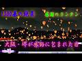 大泉緑地サンクスランタン2025|冬空に舞う感謝の光【2025年12月20日】