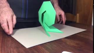IMG 8001