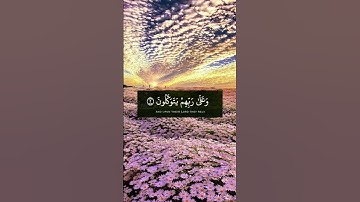 #آيات #تلاوات #دعاء #آيات_القرآن_الكريم #دعاء_مستجاب #ارح_قلبك #راحة_نفسية
