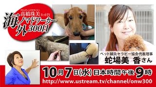 『日本初！ペット鍼灸セラピー協会発足の女性鍼灸師さんとは？』