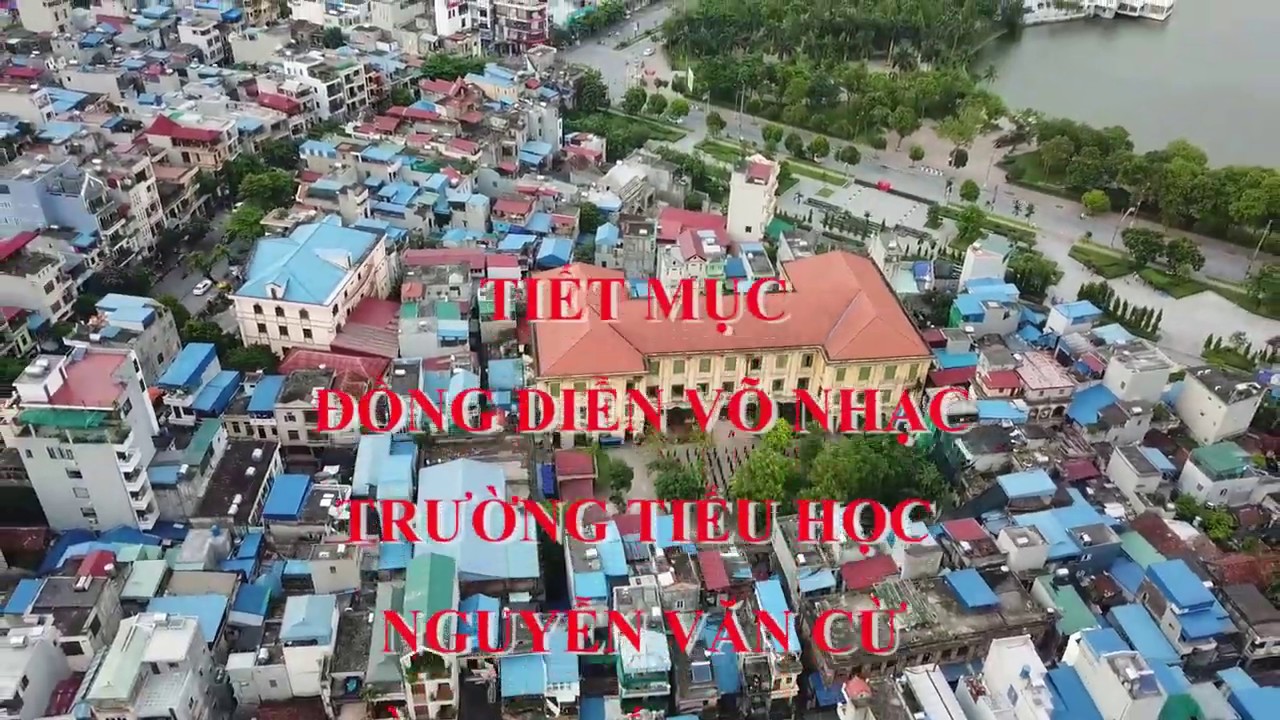 Đồng diễn võ nhạc trường Tiểu học Nguyễn Văn Cừ - Thành phố Nam Định