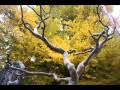 Small Village Autumn 美しき山里の秋