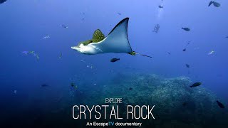 Crystal Rock, Komodo, Indonesia - TRAILER screenshot 5