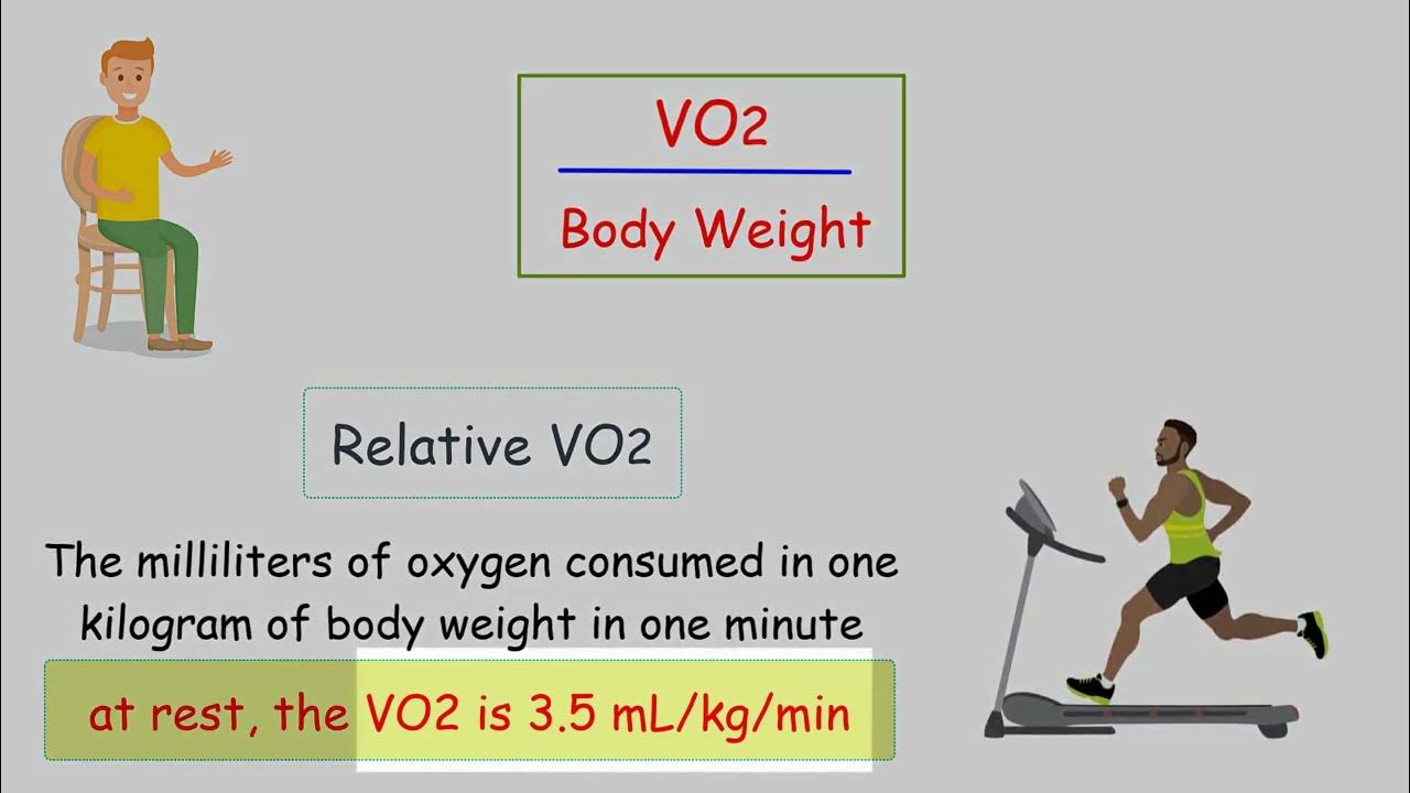 Vo2max Explained What Is Cardiorespiratory Fitness Fick Equation And 