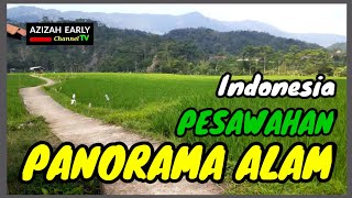 Suasana Perkampungan Dengan Alam Pesawahannya Yang Indah Jelajah Desa