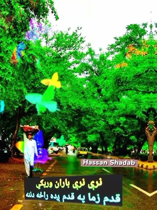 Nare Nare Baran Waregi | Baran Tappa | Hassan Shadab