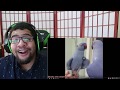 Daily Dose Of Internet-Hanging Out With Cute Birds!