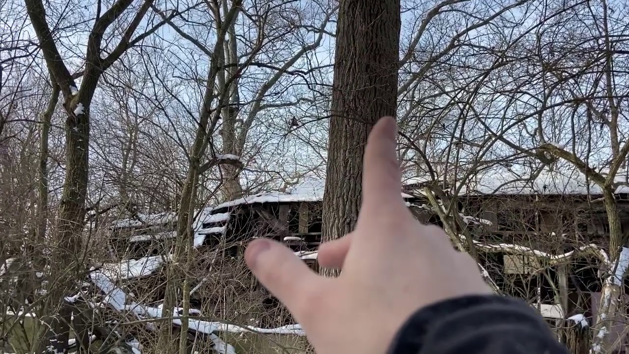 Using snow to find new hunting spots 