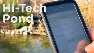 Celebrity Hi-tech Pond powered by FileMaker Pro and Raspberry Pi Wealth
