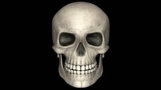 COP KILLAZ (SUPER SLOWED)