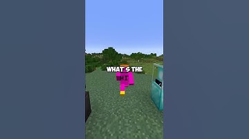 the hardest block to get in minecraft 1.17