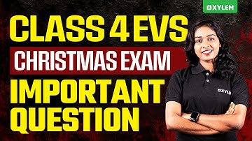 Class 4 EVS | IMPORTANT QUESTION !!! | Xylem Class 4