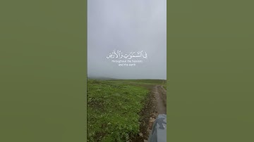 تلاوة خاشعة بصوت القارئ عبدالرحمن مسعد من سورة الروم