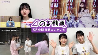乃木坂46のプロフィール 画像 写真