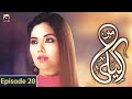 Watch Mein Akeli Episode 20 | Sunita Marshala | Hasan Ahmed Online In HD