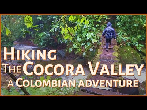 Hiking the Cocora