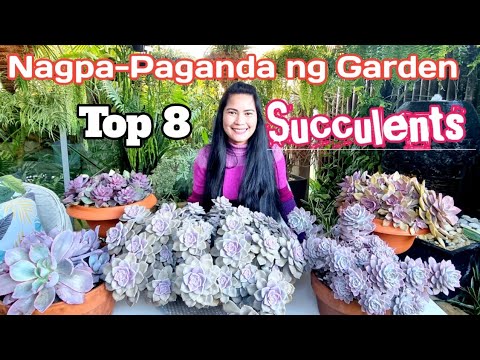 The Untold Story On Identification Types Of Cacti Chart That You Must Read Or Be Left Out