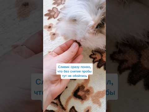 Обратилась к эксперту 🐇 @revivedbooks #книжныйблог #booktube #bookstagram #book #книжныйклуб