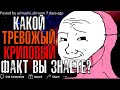 КАКОЙ ТРЕВОЖНЫЙ/КРИПОВЫЙ ФАКТ ВЫ ЗНАЕТЕ?🤓