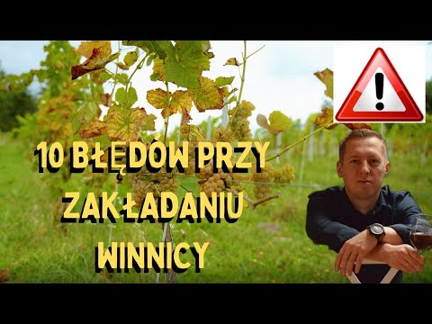 Wideo: 9 najlepszych wycieczek po winnicach Sonoma w 2022 roku