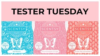 Tester Tuesday Sea Breeze, Pink Pineapple & Sugar and Sunset Sky & Strawberry (Scentsy Reviews)
