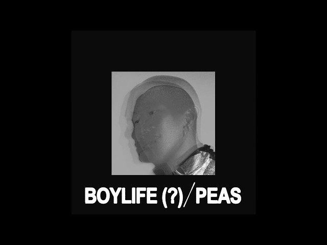 boylife - peas (official audio) class=