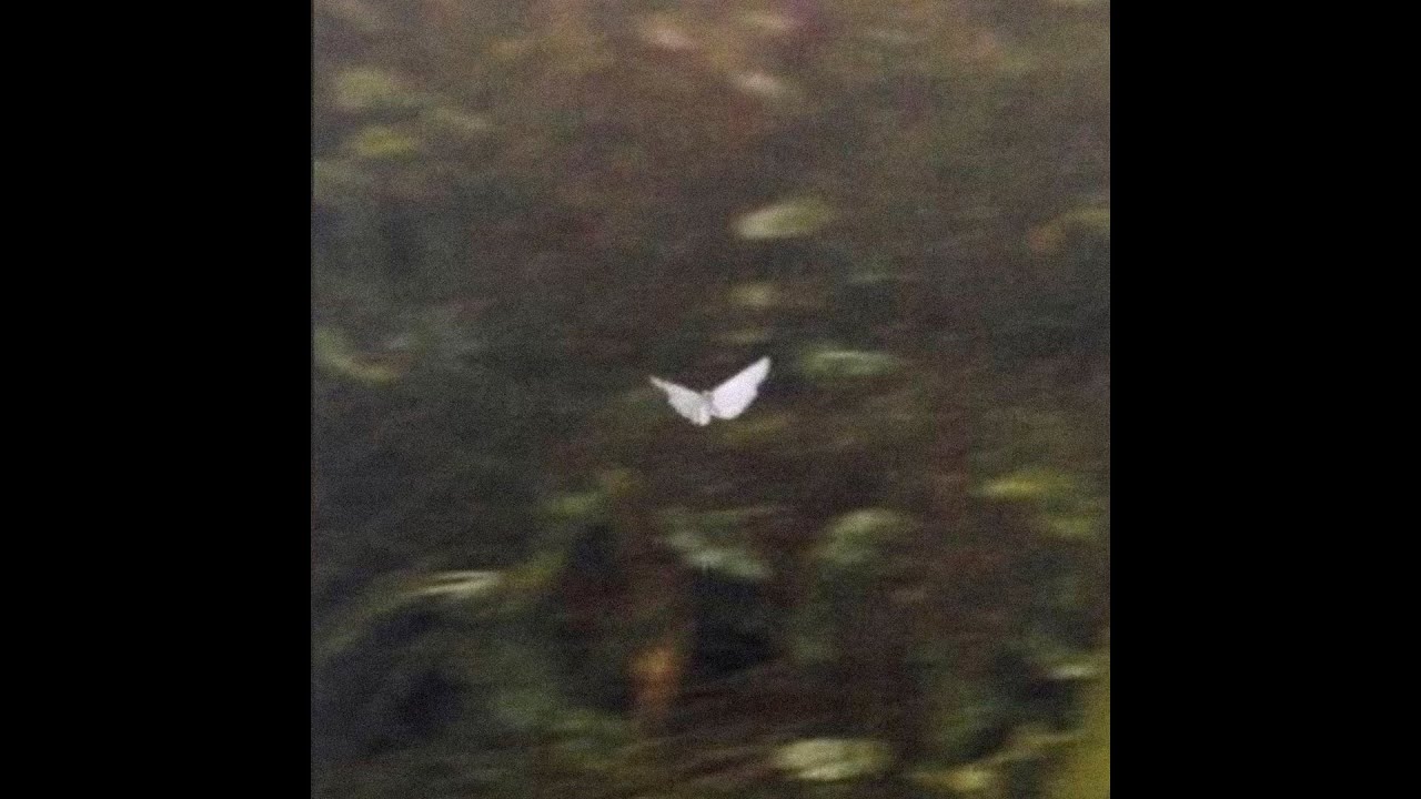 free joji type beat ~ "brooklyn" (w/ @Jeid.)