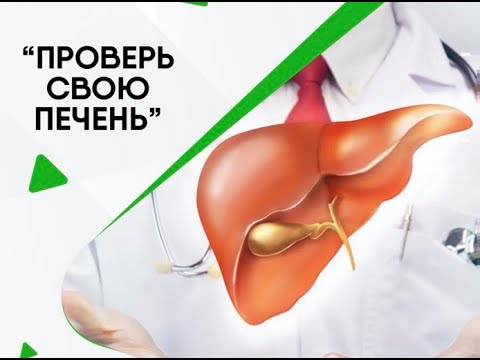 Комплексное обследование печени - что важно включить (анализы, обследования)