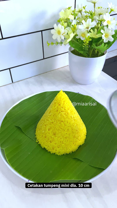 Tumpeng Mini