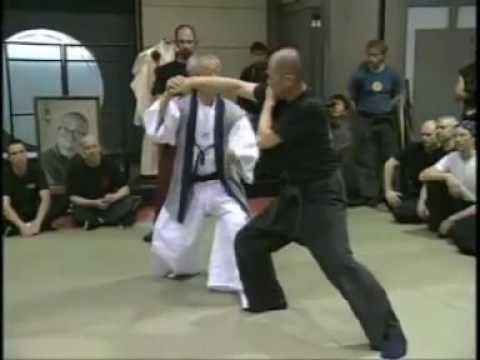 Ninjutsu Grand Master Masaaki Hatsumi in Action Pt. 15