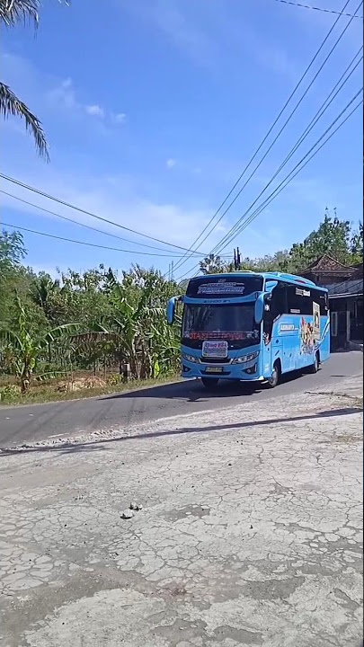 ABIMANYU TRANS X ALZIFA ‼️😱 #basuri #v3 #videobus