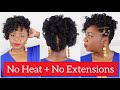 Natural Hairstyles for Black Women with Short Hair