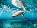 Watercolor Sea Turtle Painting Video Short Version