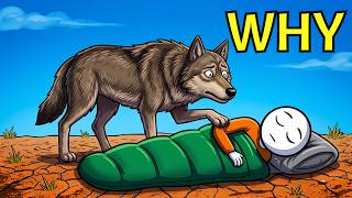 Why Do Predators Really Leave You Alone While You Sleep?