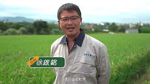 抗旱新思維 放流水供灌 - 天天要聞