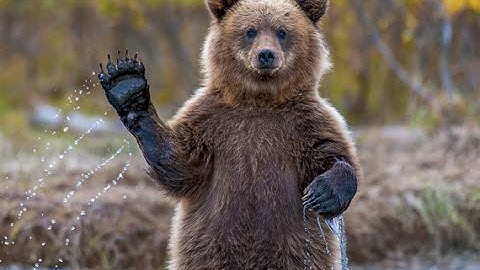 First For SoaR RC (sz) @SoaRGaming